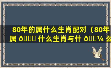 80年的属什么生肖配对（80年属 🐒 什么生肖与什 🌼 么配最好）